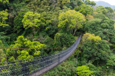 Tayvan 'ın Taoyuan Turizminde Xiao Wulai' de asma köprü