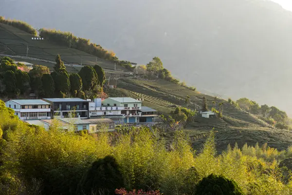 2023年2月7日 高山上的茶厂 — 图库照片