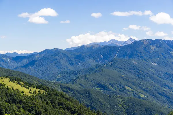 Yeşil dağ Hehuanshan 'ın manzarası