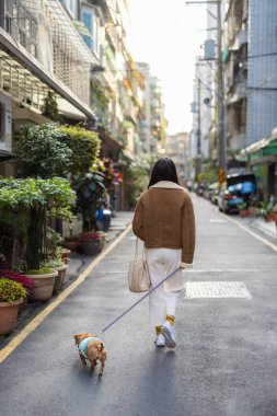 Şehirde köpek gezdiren bir kadın.