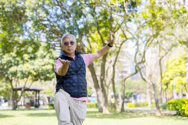 Senior Mann Taichi Park Stockbild