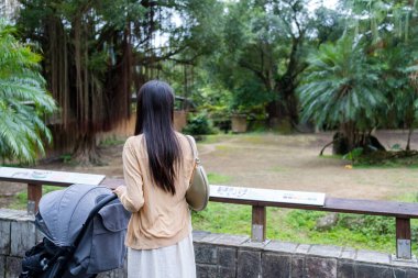 Bebek arabasıyla Asyalı anne hayvanat bahçesi parkını ziyaret ediyor.