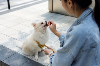 Kadın dışarıda köpeğini besliyor.