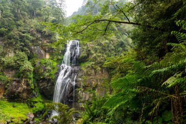 Şelale Tayvan 'daki Sun Link Dağı' nda yer almaktadır.