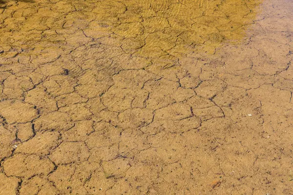 Água Através Das Rachaduras Terra Seca Imagem De Stock