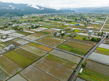 Taiwan - 06 December 2023: Top view of the field in countryside of Yilan of Taiwan clipart