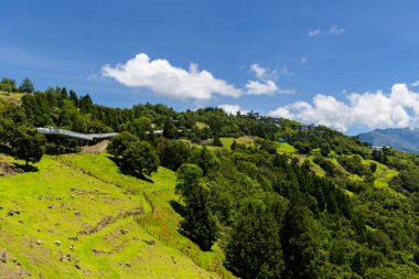 Tayvan Nantou 'daki güzel Qingjing çiftliği.