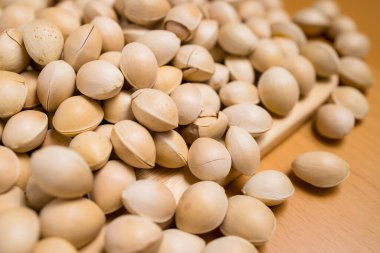 Bir tohum ginkgo biloba tohumu.