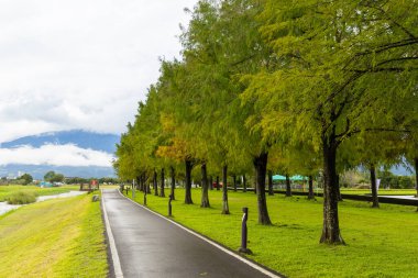 Walkway with row of tree in Yilan Dongshan at Taiwan clipart