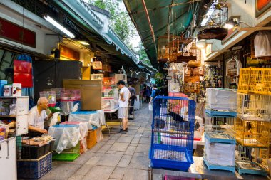 Hong Kong - 27 Nisan 2024: Wan Chai bölgesindeki Hong Kong sokak pazarı