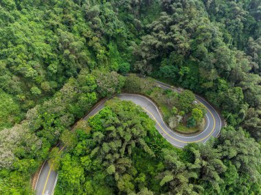 Dağ ormanının aşağısındaki yol manzarası.