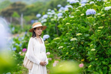 Hamile kadın Hydrangea çiçek çiftliğini ziyaret ediyor.
