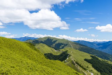 Tayvan 11 Temmuz 2023: Tayvan 'daki Taroko Milli Parkı' ndan Hehuanshan 'da güzel yürüyüş parkı
