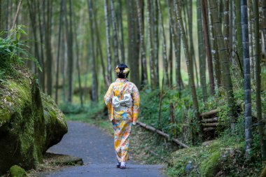 Asyalı kadın bambu ormanında Japon kimonosu giymeye çalışıyor.