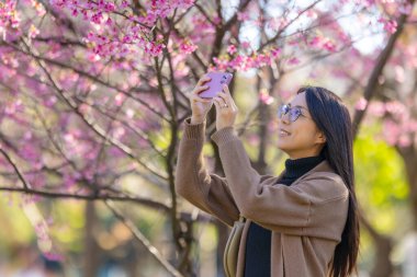 Sakura ağacında cep telefonuyla fotoğraf çeken bir kadın.