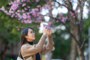 Sakura ağacında cep telefonuyla fotoğraf çeken bir kadın.