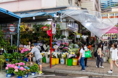 Hong Kong 27 Nisan 2024: Hong Kong 'da Çiçek Pazarı