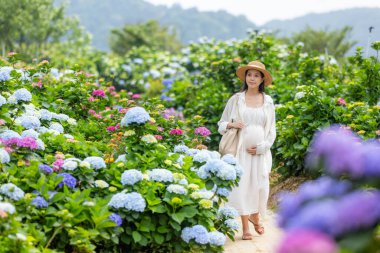 Hamile kadın Hydrangea çiçek çiftliğini ziyaret ediyor.