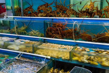 Hong Kong 'daki deniz ürünleri restoranının dışındaki su tankı.