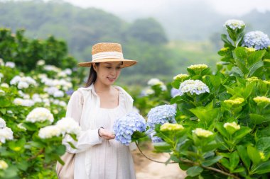 Hamile kadın Hydrangea çiçek çiftliğini ziyaret ediyor.