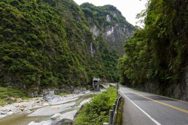 Tayvan 'daki Hualien Taroko Ulusal Parkı' ndan geçen orman yolu.
