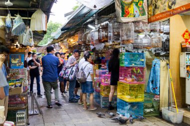 Hong Kong 27 Nisan 2024: Wan Chai bölgesindeki Hong Kong sokak pazarı