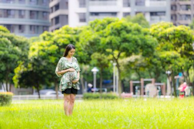 Parktaki yeşil çimenli hamile kadın.