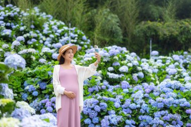 Hamile kadın, Hydrangea çiçek bahçesi bahçesinde fotoğraf çekmek için cep telefonu kullanıyor.
