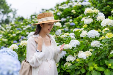 Ortanca çiçek bahçesinde güzel hamile bir kadın