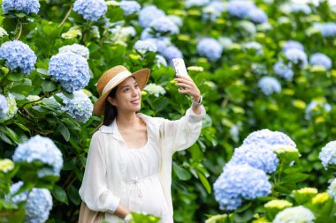 Güzel hamile kadın Hydrangea çiçek bahçesinde cep telefonundan selfie çekiyor.