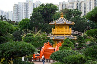  Hong Kong 30 Mart 2024: Hong Kong 'da Chi Lin Nunnery' de altın pavyon