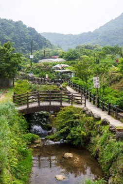 Taipei, Tayvan 08 Mayıs 2024: Yangmingshan Milli Parkı 'ndaki çiçek bahçesi 