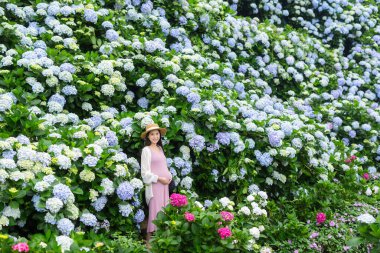Güzel ortanca çiftliğinde hamile bir kadın.