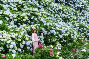 Güzel ortanca çiftliğinde hamile bir kadın.
