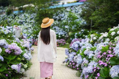 Ortanca çiçek tarlası bahçesine bir kadın girdi.