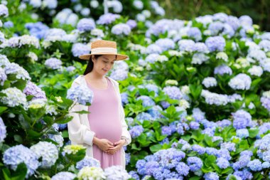 Ortanca çiçek bahçesinde güzel hamile bir kadın