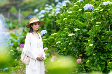 Güzel hamile kadın bahçede çiçek açan ortancaların tadını çıkarıyor.