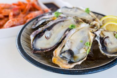 Restorandaki tabakta taze çiğ istiridye var.