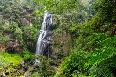 Waterfall located on Sun Link Sea mountain in Taiwan clipart
