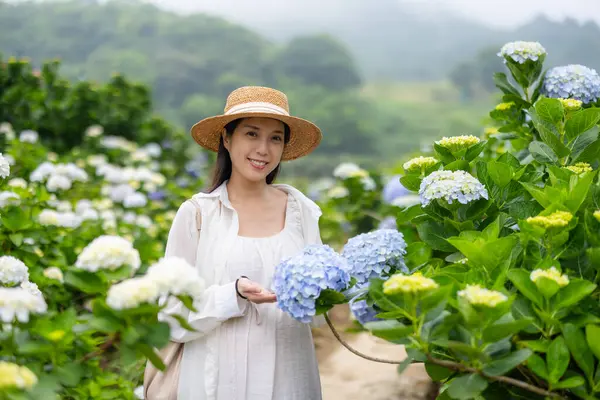 stock image Pregnant woman visit the Hydrangea farm