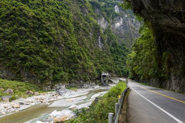 Tayvan 'daki Hualien Taroko Ulusal Parkı' ndan geçen orman yolu.