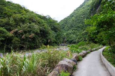 Tayvan Hualien 'daki Taroko Ulusal Parkı' ndaki Shakadang Patikası 