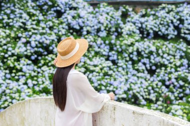 Ortanca çiçek bahçesindeki Asyalı kadın.