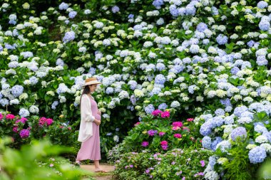 Hamile kadın ortanca çiçek bahçesinde yürüyor.