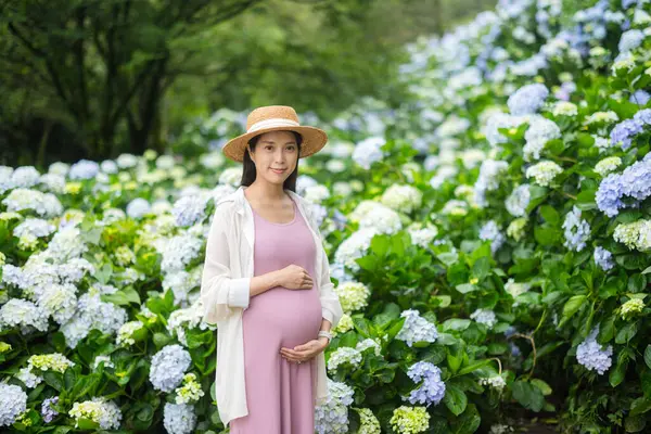 stock image Pregnant woman hold with her tummy in Hydrangea flower garden