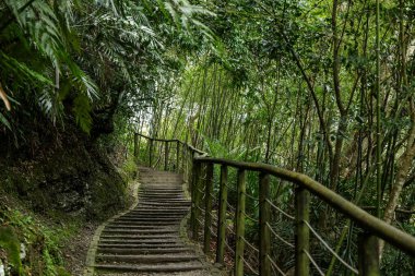 Hiking trail in Xiao Wulai Scenic Area at Taoyuan of Taiwan clipart