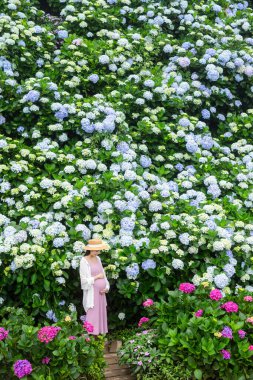 Hydrangea çiçek çiftliğinde Asyalı hamile