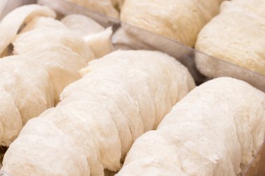 Ham Kuş Yuvası Yığını Yaklaş