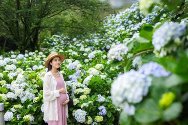 Hamile kadın ortanca çiçek bahçesinde yürüyor.