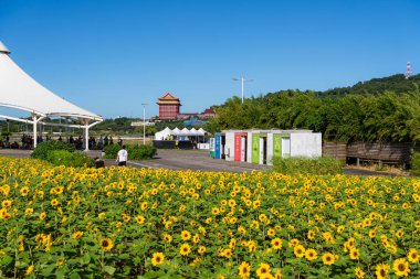 Taipei, Tayvan 27 Ekim 2024: Tayvan 'da Dajia Riverside Park